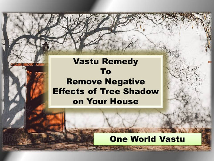 Remove Negative Effects of Tree in Front of You House - Vastu Remedy